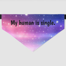 Mein Mensch ist Single 2