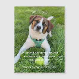 Mein menschliches Foto wird Save the Date geheirat Magnetkarte