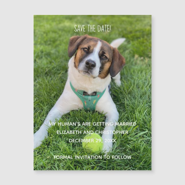 Mein menschliches Foto wird Save the Date geheirat Magnetkarte (Vorderseite)