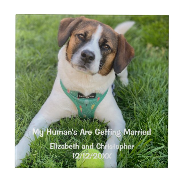 Mein menschliches Foto wird verheiratet, Verlobung Fliese (Vorderseite)