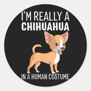 Mein menschliches Kostüm Ich bin ein Chihuahua-Hun Runder Aufkleber