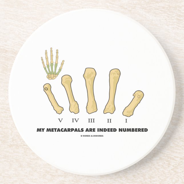 Mein Metacarpals werden tatsächlich nummeriert Getränkeuntersetzer (Vorne)