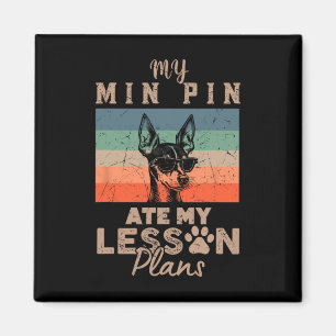Mein Min Pin hat meine Unterrichtspläne gefressen Magnet