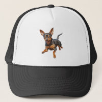 Mein Min Pin-Zwergpinscher-Minpin-Welpe Hund glück