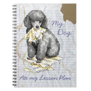 Mein Miniatur-Poodle Ate mein Lektionsplan Notizblock