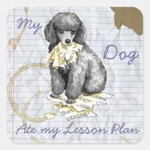 Mein Miniatur-Poodle Ate mein Lektionsplan Quadratischer Aufkleber