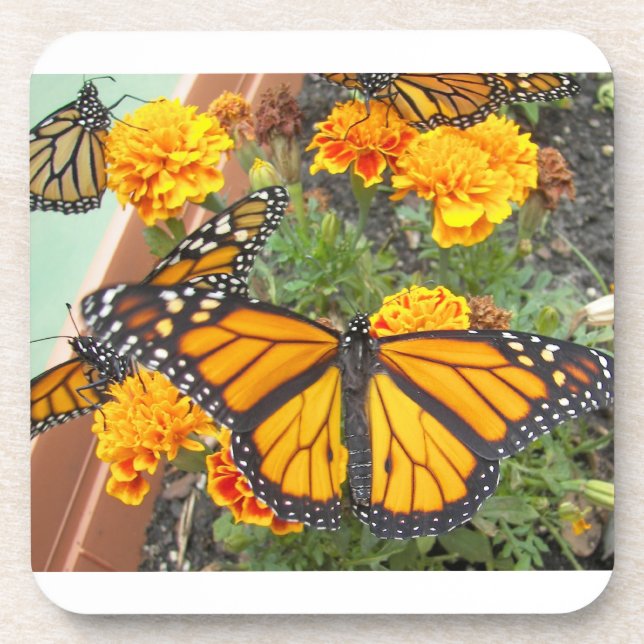 Mein Monarch Butterflies-Kork-Untersetzer Untersetzer (Vorderseite)