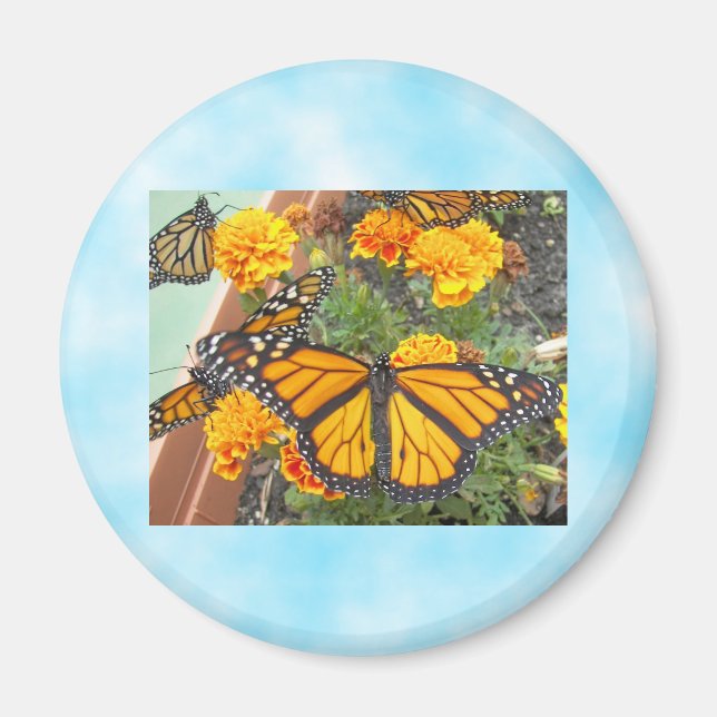 Mein Monarch Butterflies-Magnet Magnet (Vorne)