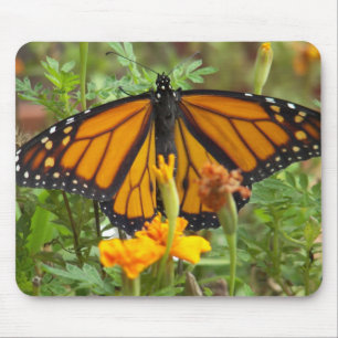 Mein Monarch Butterfly-Mousepad Mousepad