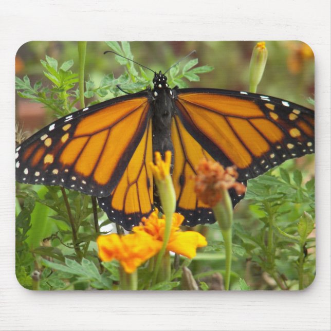 Mein Monarch Butterfly-Mousepad Mousepad (Vorne)