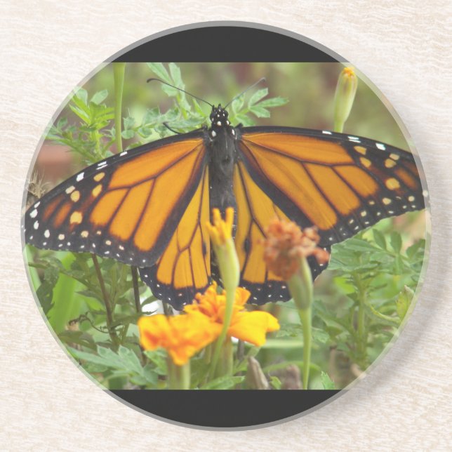 Mein Monarch Butterfly-Untersetzer Sandstein Untersetzer (Vorne)