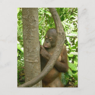 Mein Name in einem Baum tragen Postkarte