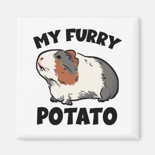 Mein Pelztier, Guinea Magnet