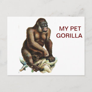 MEIN PET GORILLA POSTKARTE