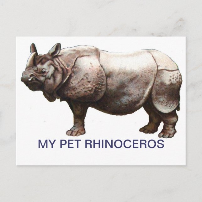 MEIN PET RHINOCEROS POSTKARTE (Vorderseite)