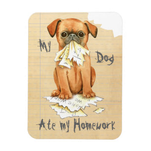 Mein Petit Brabancon Ate Meine Hausaufgaben Magnet