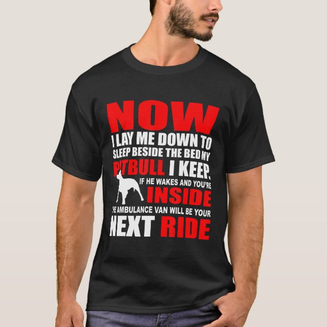 Mein Pitbull, den ich neu halte T-Shirt (Vorderseite)