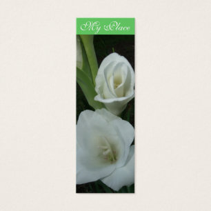 Mein Platz Gladiola Buch-Kennzeichen