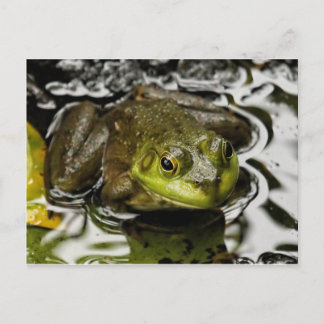 Mein Prinz Postkarte