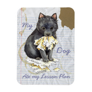 Mein Schipperke Ate Mein Lektionsplan Magnet