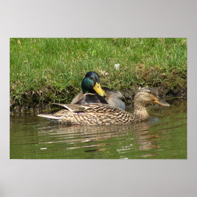 Mein schönes Mädchen Poster (Vorne)