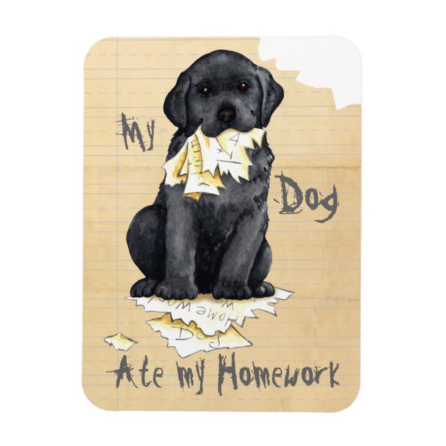 Mein schwarzes Labor hat meine Hausaufgaben aufgeg Magnet (Vertikal)