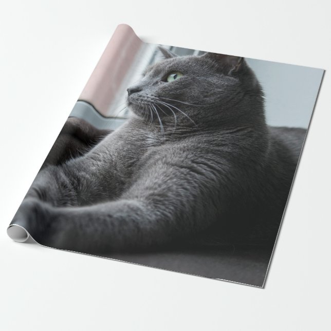 MEIN SCHWEIZER ROUTER RÜCKHALTETE KITTEN GESCHENKPAPIER (Ungerollt)