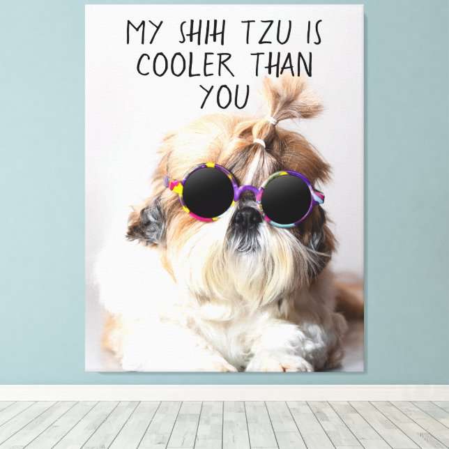 Mein Shih Tzu ist Cool als du Sonnenbrillen Foto Leinwanddruck (Insitu (Holzboden))