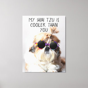 Mein Shih Tzu ist Cool als du Sonnenbrillen Foto Leinwanddruck