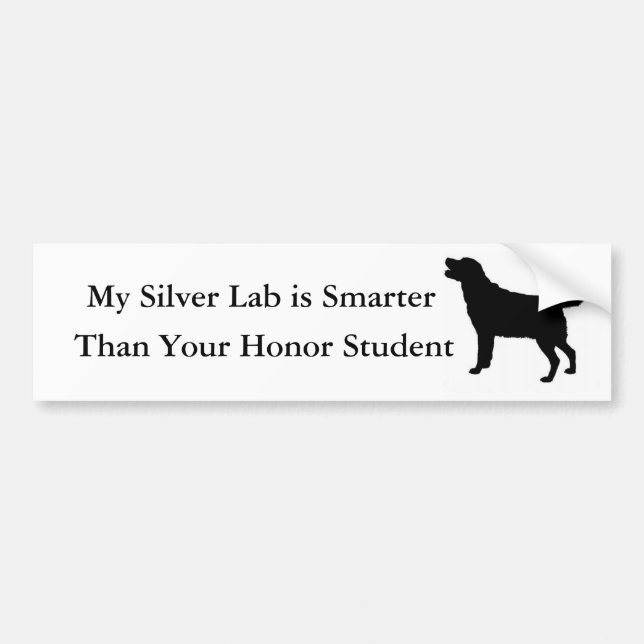 Mein silberner Labrador ist intelligenter als Ihr Autoaufkleber (Vorne)