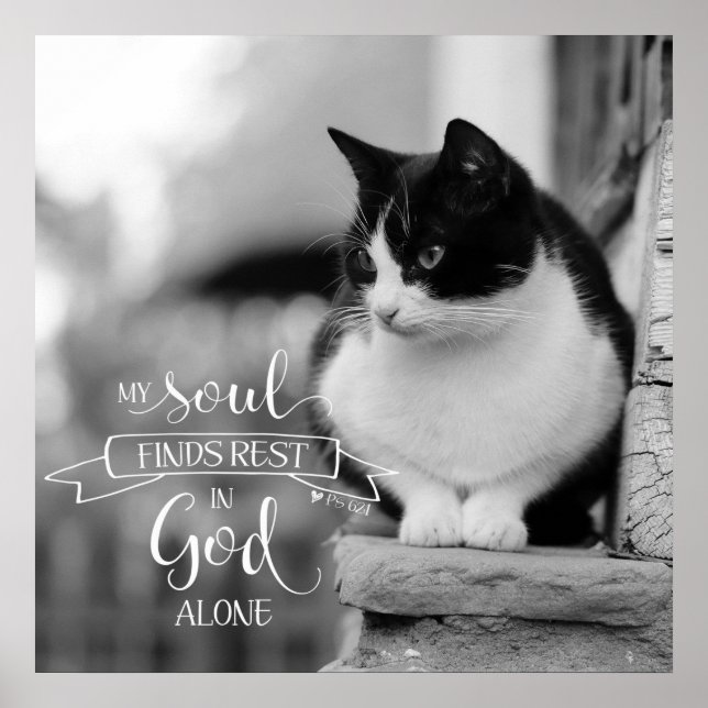 Mein Soul Finds Erholung - S. 62:1 Poster (Vorne)