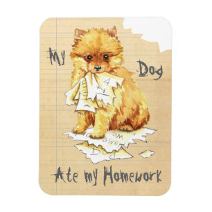 Mein Spitz aß meine Hausaufgaben Magnet