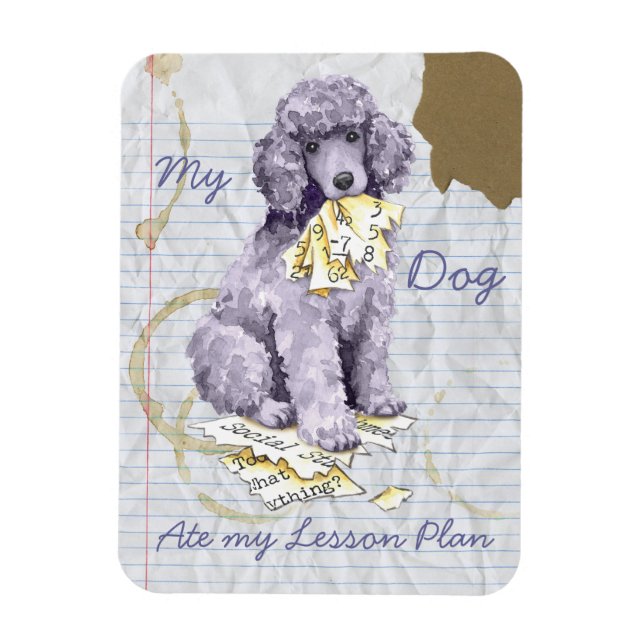 Mein Standard Poodle Ate my Lektionsplan Magnet (Vertikal)