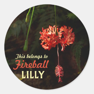 Mein Stuck mit japanischer Laterne Runder Aufkleber