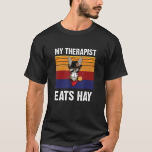Mein Therapeut isst Heu Farbige Vintage Pferd T-Shirt