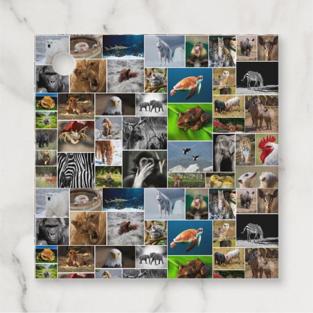 "Mein Tierreich" - Begleithefte für Wildtiere Geschenkanhänger (Vorderseite)