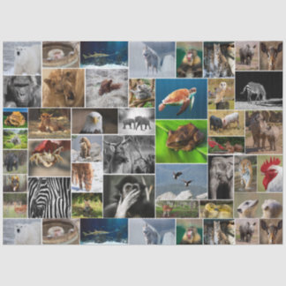 "Mein Tierreich" - Weißbuch über Wildtiere Seidenpapier