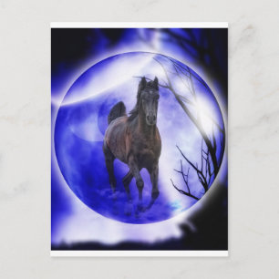 Mein Traum Postkarte