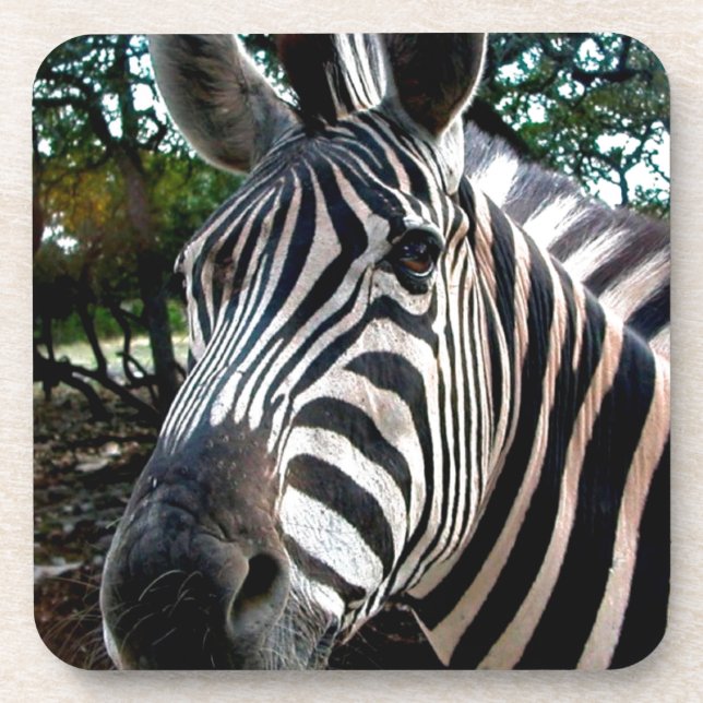 Mein trepper Freund Getränkeuntersetzer (Vorderseite)