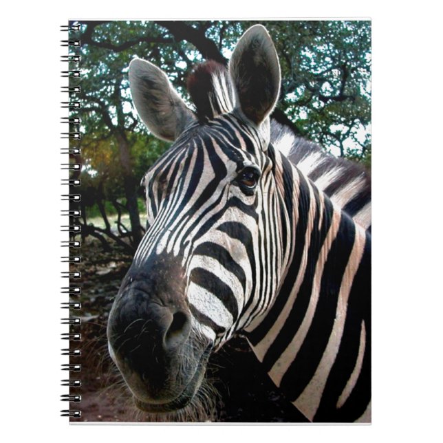 Mein trepper Freund Notizblock (Vorderseite)