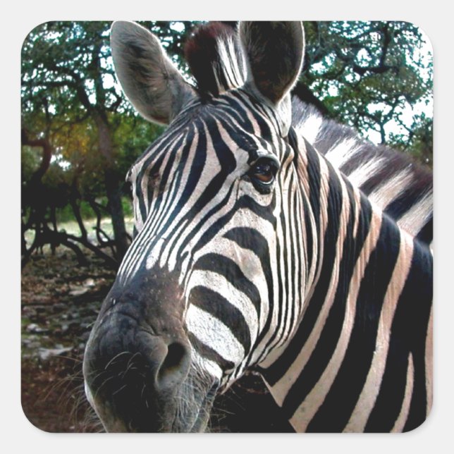 Mein trepper Freund Quadratischer Aufkleber (Vorderseite)