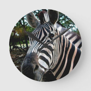 Mein trepper Freund Runde Wanduhr