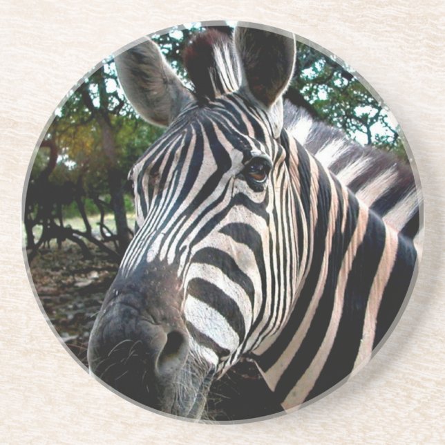 Mein trepper Freund Sandstein Untersetzer (Vorne)