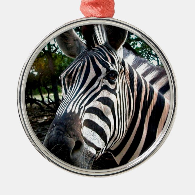 Mein trepper Freund Silbernes Ornament (Vorne)