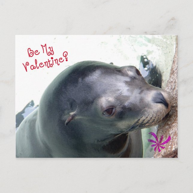 Mein Valentinin-Siegel Feiertagspostkarte (Vorderseite)