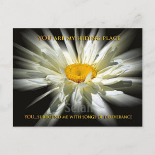 Mein Versteck Postkarte