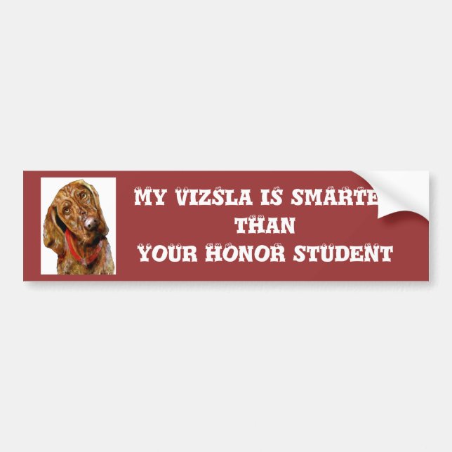 Mein Vizsla ist intelligenterer Autoaufkleber (Vorne)