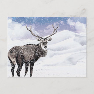 Mein Weihnachts-Winterstag! Feiertagspostkarte