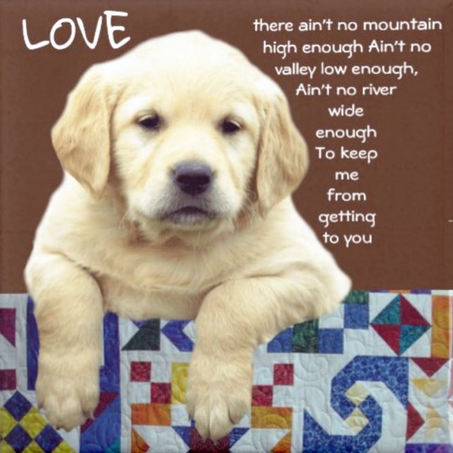 "MEIN WONDERLAND" ARMBANDUHR (Von Creator hochgeladen)