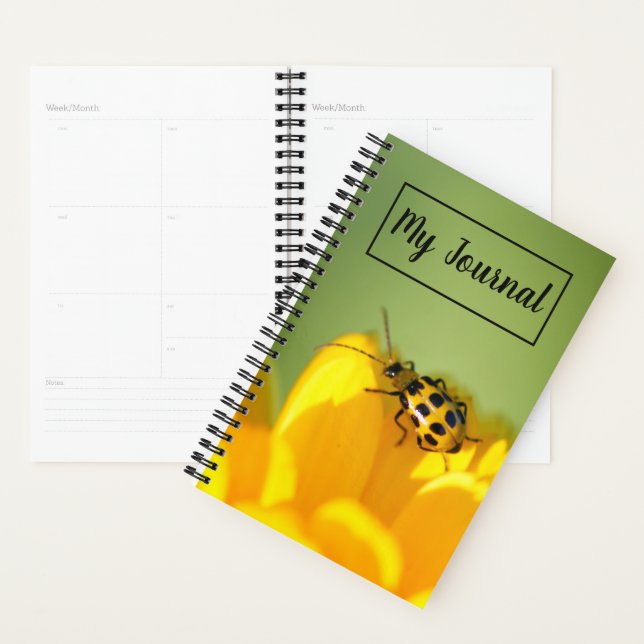 Mein Zeitschriftenplaner Planer (Anzeige)